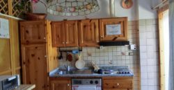 Appartamento Adriatico
