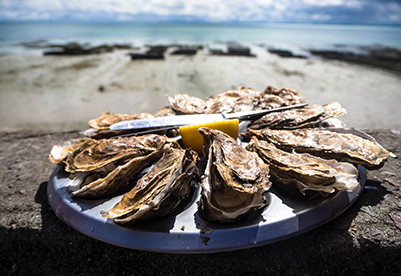 enogastronomia eraclea mare