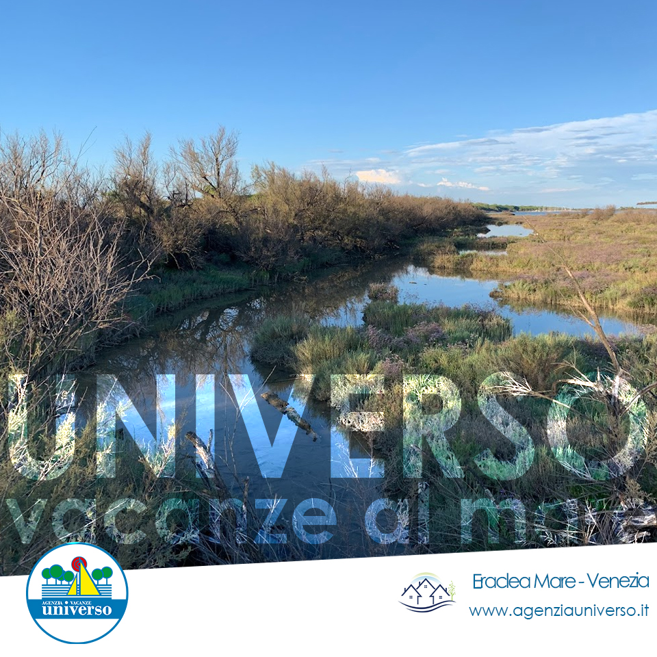 Agenzia Universo Eraclea Mare