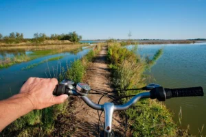 Noleggio Biciclette escursioni