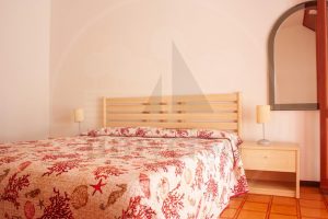 SOTTO IL PINO – C4