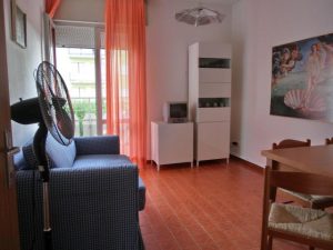 PINETA – B